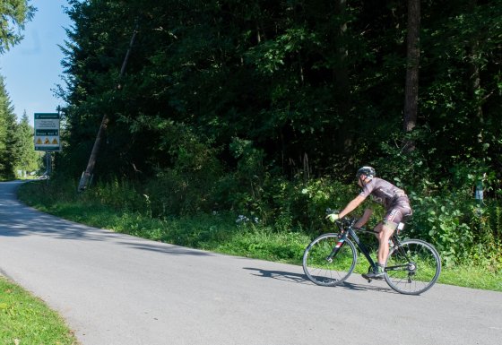 Zdjęcie 6 Julińska Czasówka 2025