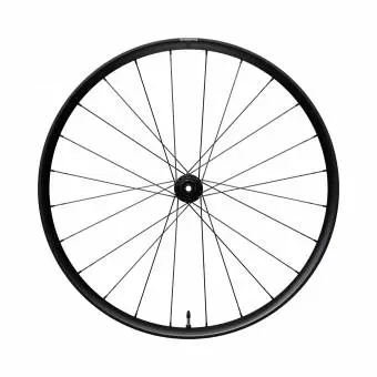 Koło SHIMANO RX180-TL-F12-700C 12 rzędów, Center lock, Tył